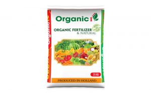 phân bón organic là gì