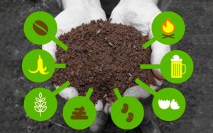 ưu điểm của phân bón