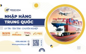 Yến china logistics