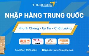 Thương Đô Logistics